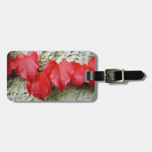 Virginia Creeper Leaves Luggage Tag