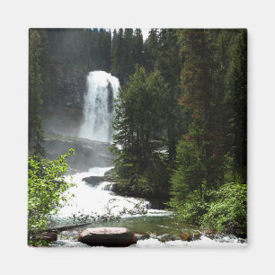 Virginia Falls at Glacier National Park Magnet