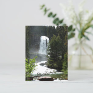 Virginia Falls at Glacier National Park Postcard