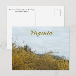 Virginia Postcard