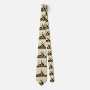 Virginia Rail from Audubon's Birds of America Tie