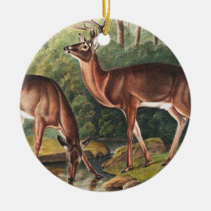 Virginian Deer (Cervus Virginianus) Illustration Ceramic Ornament