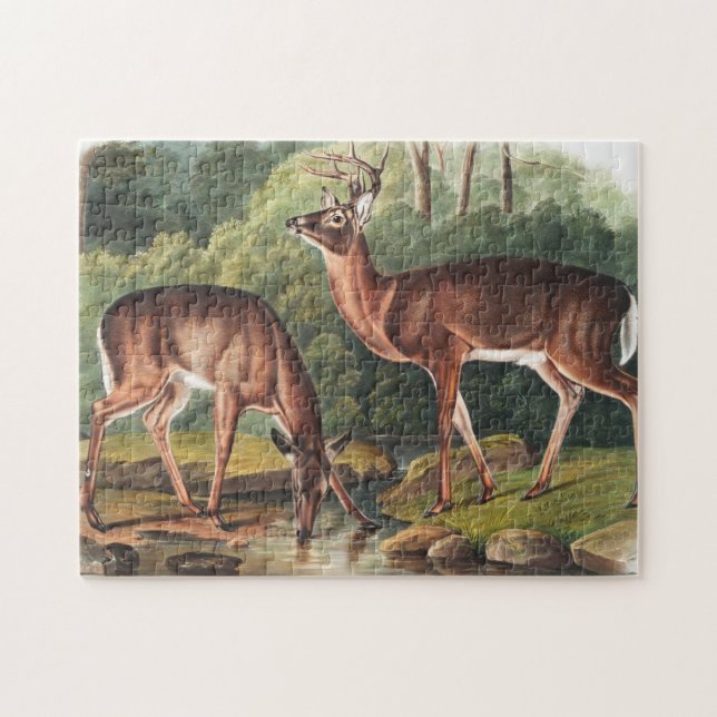 Virginian Deer (Cervus Virginianus) Illustration Jigsaw Puzzle (Horizontal)