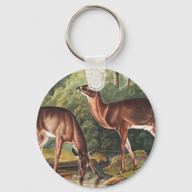 Virginian Deer (Cervus Virginianus) Illustration Key Ring (Front)