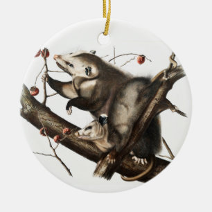 Virginian Opossum Didelphis Virginia Illustration Ceramic Ornament