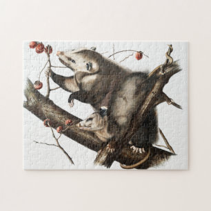 Virginian Opossum Didelphis Virginia Illustration Jigsaw Puzzle
