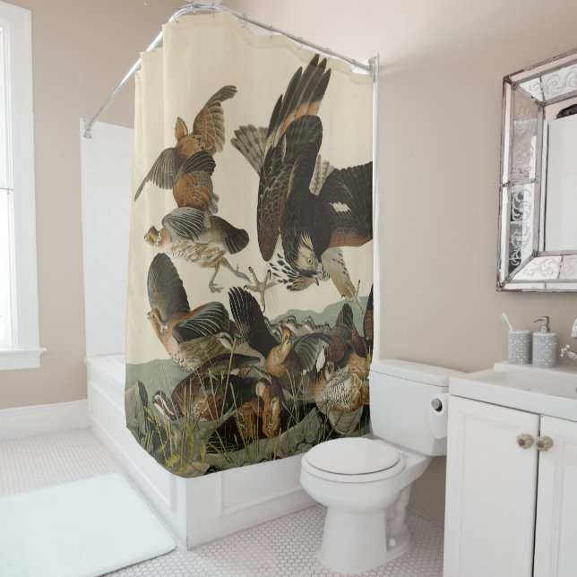 Virginian Partridge, Audubon's Birds of America Sh Shower Curtain (In Situ)