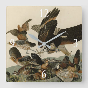 Virginian Partridge, Audubon's Birds of America Square Wall Clock