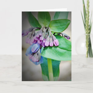 Virginina Bluebells Card