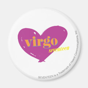 Virgo 2 magnet
