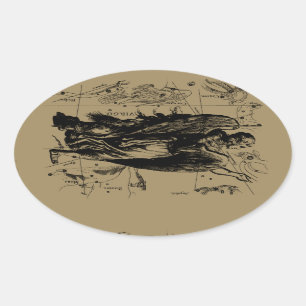 Virgo Constellation Hevelius Etching Style Oval Sticker