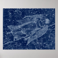 Virgo Zodiac Sign Vintage Illustration