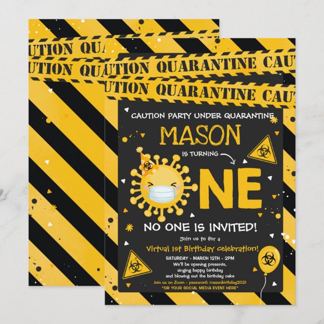 Virtual 1st Birthday Party Quarantine 1st Birthday Invitation (Front/Back)