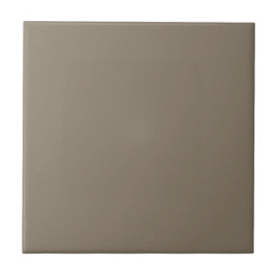 Virtually Taupe Square Kitchen and Bathroom Ceramic Tile