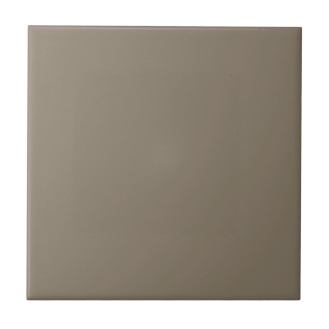 Virtually Taupe Square Kitchen and Bathroom  Ceramic Tile (Front)
