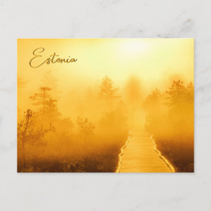 Viru Bog Golden Sunrise Postcard
