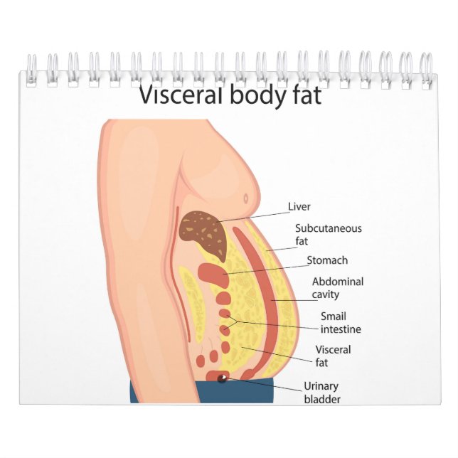 Visceral body fat calendar (Cover)