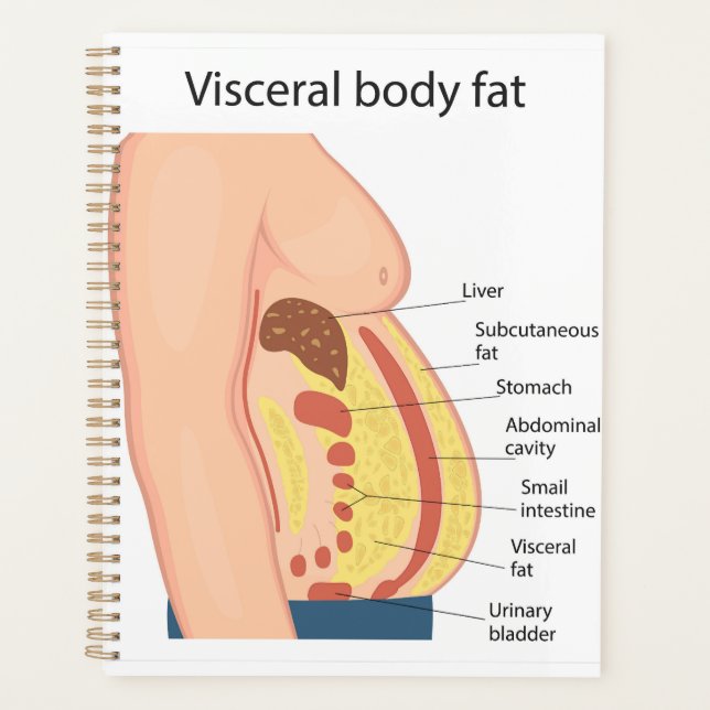 Visceral body fat planner (Front)