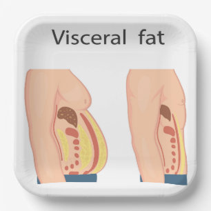 Visceral fat paper plate