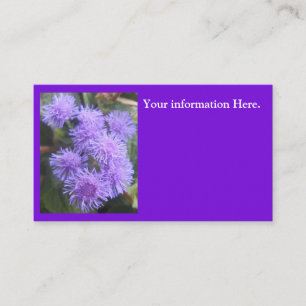 Viscountess Business Card
