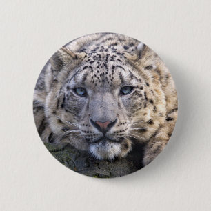 Vishnu Snow Leopard Badge