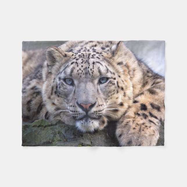 Vishnu Snow Leopard Fleece Blanket (Front (Horizontal))