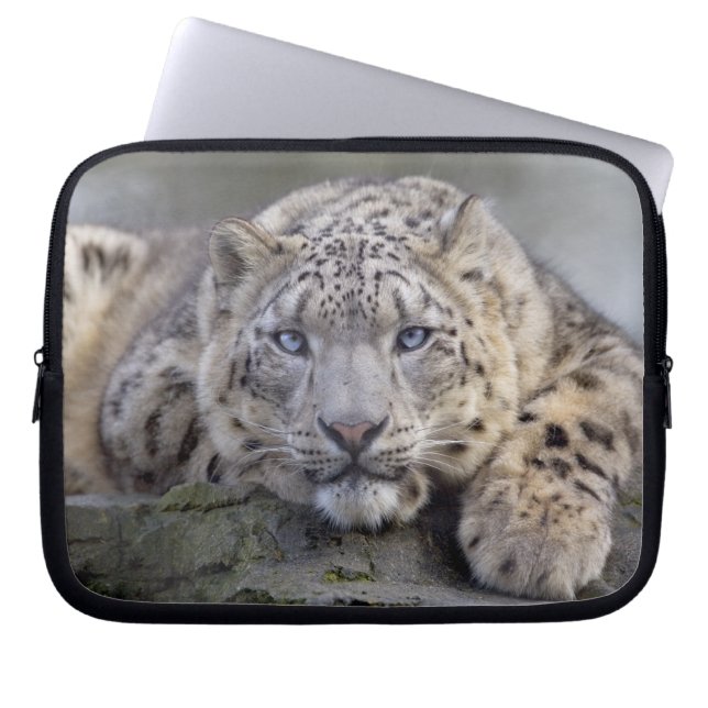 Vishnu Snow Leopard Laptop Sleeve (Front)