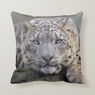 Vishnu Snow Leopard Pillow