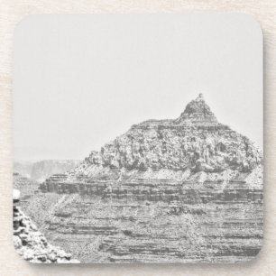 Vishnu Temple Coaster