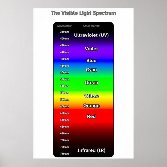 Visible Light Spectrum Poster (Front)