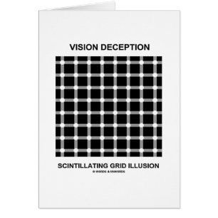 Vision Deception Scintillating Grid Illusion