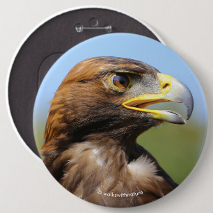Vision of a Beautiful Young Golden Eagle 6 Cm Round Badge