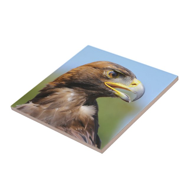 Vision of a Beautiful Young Golden Eagle Ceramic Tile (Side)