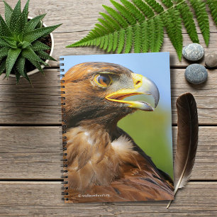 Vision of a Beautiful Young Golden Eagle Notebook