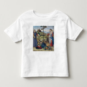 Vision of a Knight, c.1504 Toddler T-Shirt