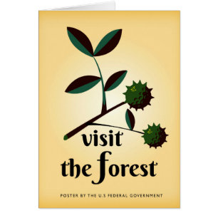 Visit the forest USA vintage poster.