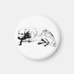 Visual Calm Dog Magnet Brings Steady Cheer To Home