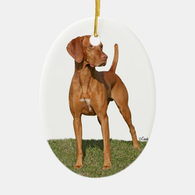 Viszla hunting dog Ornament (Front)
