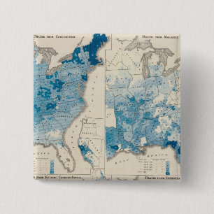 Vital statistics, United Census 15 Cm Square Badge