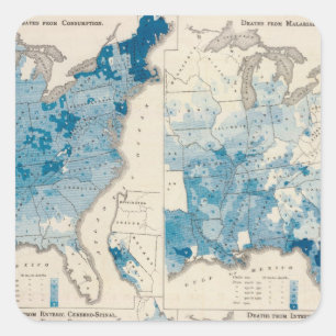 Vital statistics, United Census Square Sticker