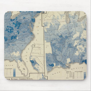Vital statistics, United States census Mouse Pad
