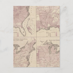 Vital Statistics, United States Census Postcard