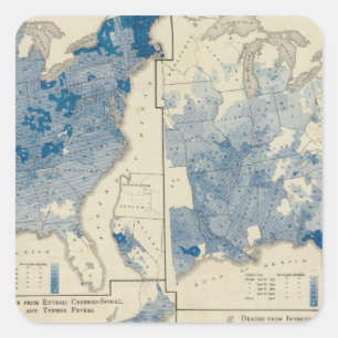 Vital statistics, United States census Square Sticker