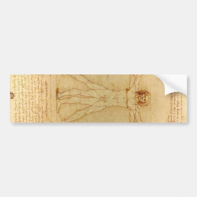Vitruvian Man by Leonardo Da Vinci Bumper Sticker (Front)