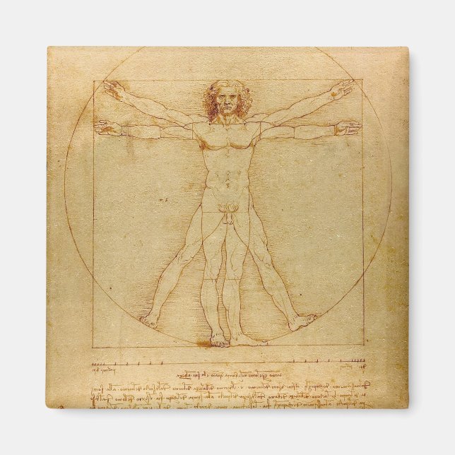 Vitruvian Man by Leonardo Da Vinci Magnet (Front)