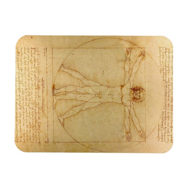 Vitruvian Man by Leonardo Da Vinci Magnet (Horizontal)