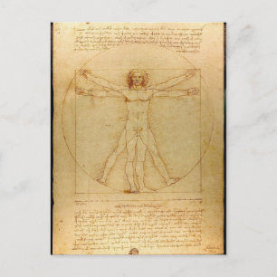 Vitruvian Man by Leonardo da Vinci Postcard