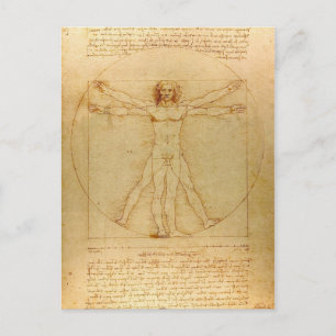 Vitruvian Man by Leonardo Da Vinci Postcard