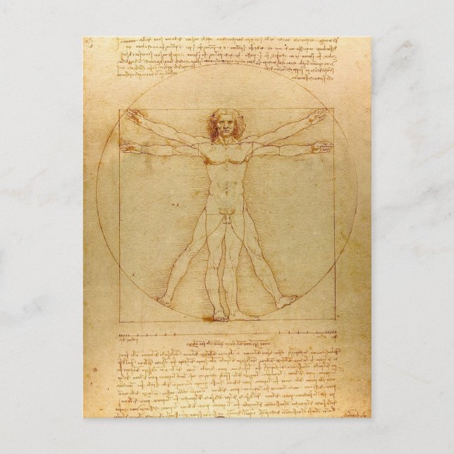 Vitruvian Man by Leonardo Da Vinci Postcard (Front)