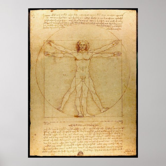 Vitruvian Man by Leonardo da Vinci Poster (Front)
